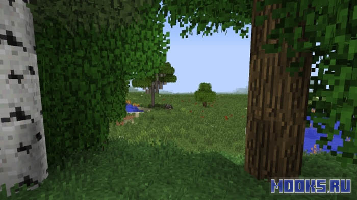better-foliage1