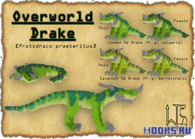wyrmroost2